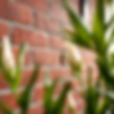 Close-up view of textured red brick peel and stick tiles