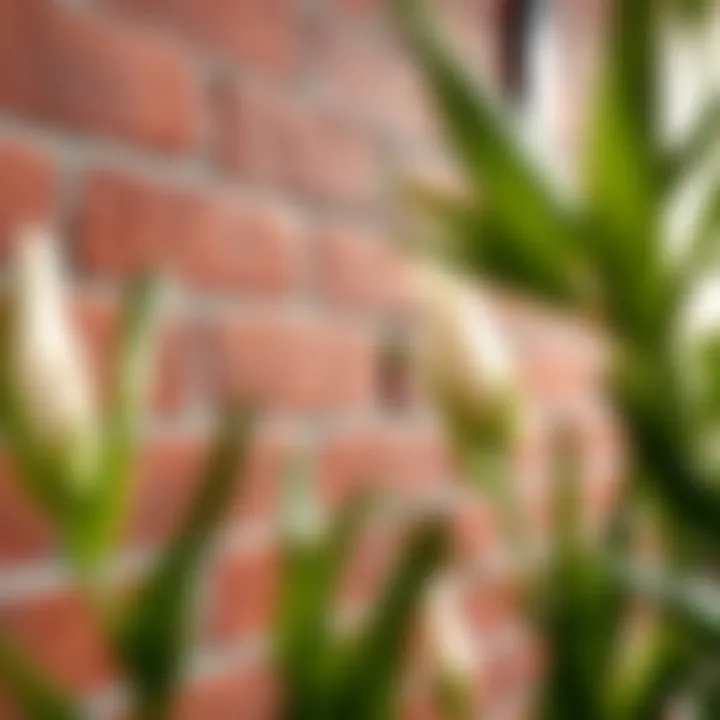Close-up view of textured red brick peel and stick tiles