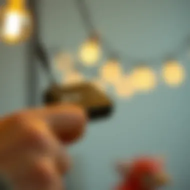 Close-up of remote control used to operate battery string lights.