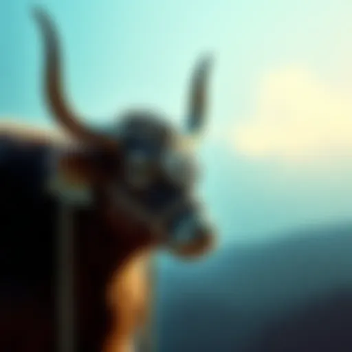 Exquisite Craftsmanship by Swarovski Ox Intricate designs of Swarovski Ox accessories showcasing exquisite craftsmanship