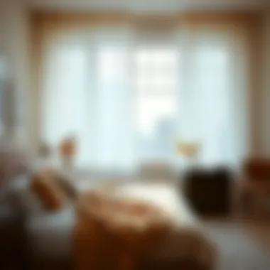 Cozy Bedroom with Soft Sheer Drapes Cozy bedroom showcasing soft gauzy sheer drapes.