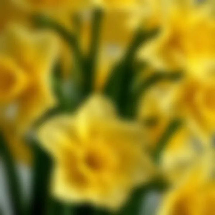 Close-up of exquisite craftsmanship in faux daffodil petals
