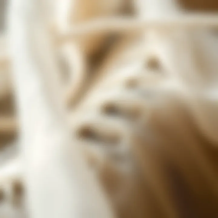 The Intricate Texture of Organza Close-up of organza fabric showcasing its texture and sheen