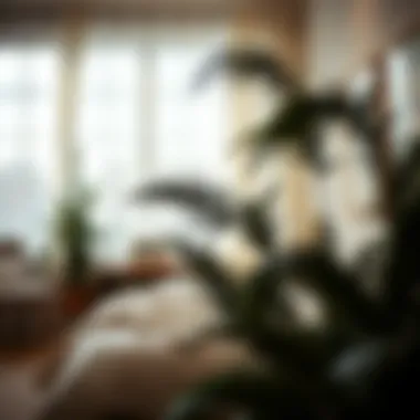 Lush fake feather plants in a serene bedroom setting