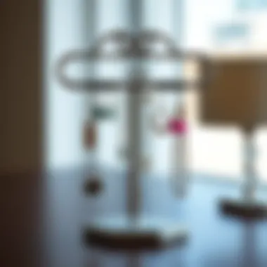 Chic earring holder with a modern design featuring various earrings