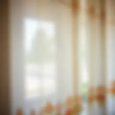 Close-up view of a vintage embroidered sheer curtain showcasing delicate stitching techniques