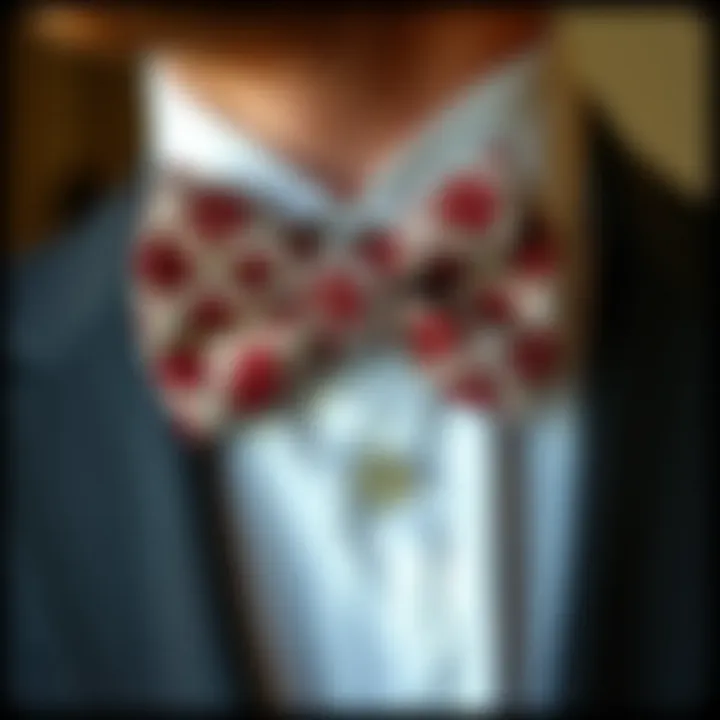 A detailed guide on bow tie care and maintenance essentials
