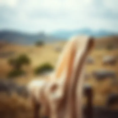 A serene landscape featuring a soft beige pashmina draped elegantly over a rustic chair.
