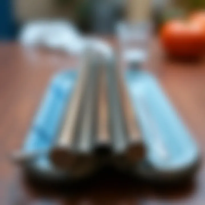 Comparison of stainless steel and plastic straws