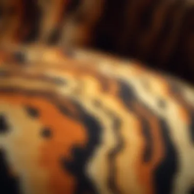 Close-up of tiger print fabric detailing