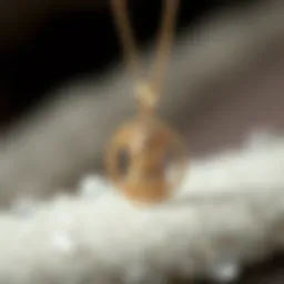 Elegant ashes necklace for a beloved dog