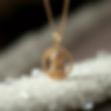 Elegant ashes necklace for a beloved dog