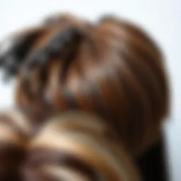 Variety of hair textures